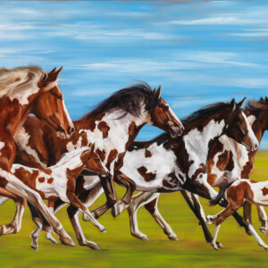 Painted Pony Power: