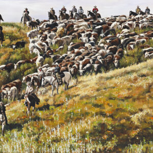Drivin' Cattle