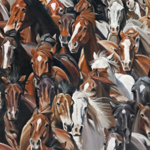 Horse Power One