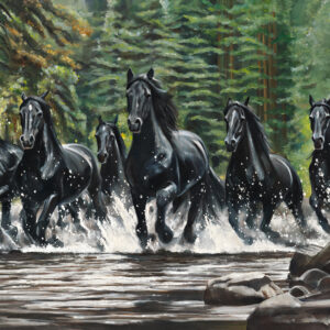 Black Stallions Forest
